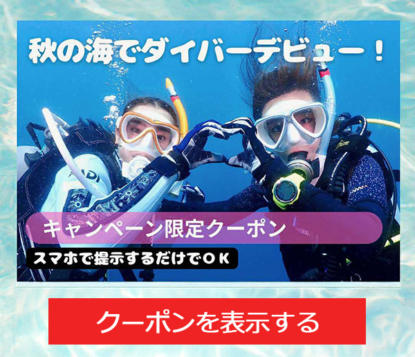 クーポン