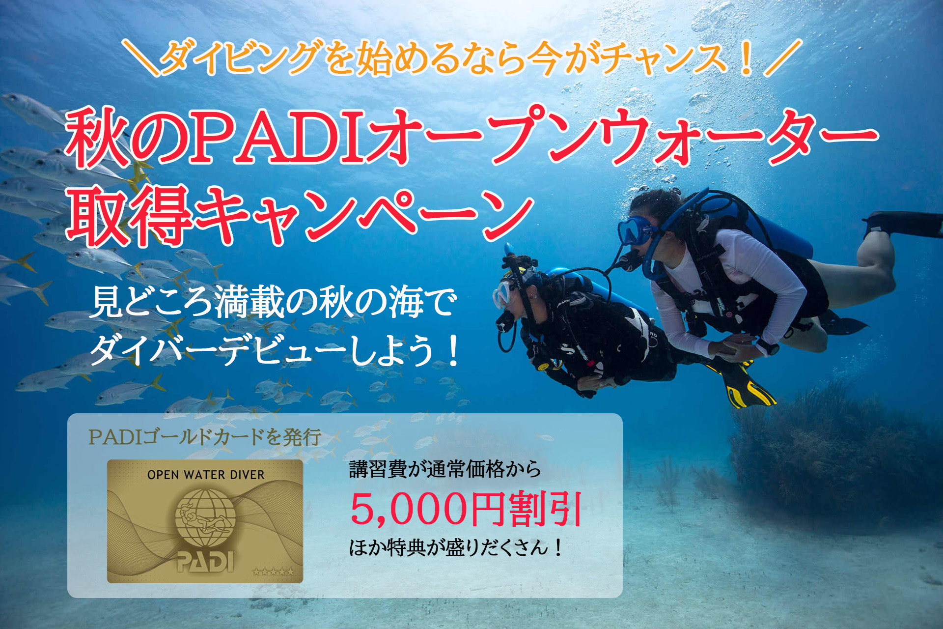 2025秋キャンペーン