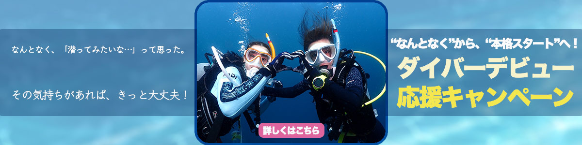 キャンペーン