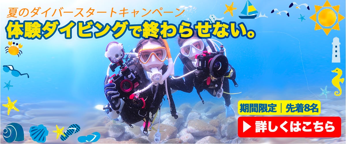 キャンペーン